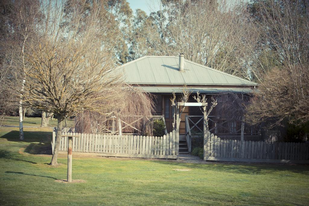 Sanctuary Park Cottages Healesville Exterior foto